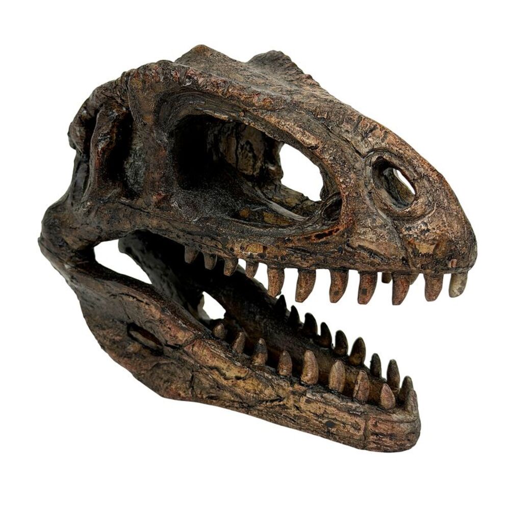 Giganotosaurus Dinosaur Statue Weathered Brown Resin 6.5 Inch Tabletop Decor